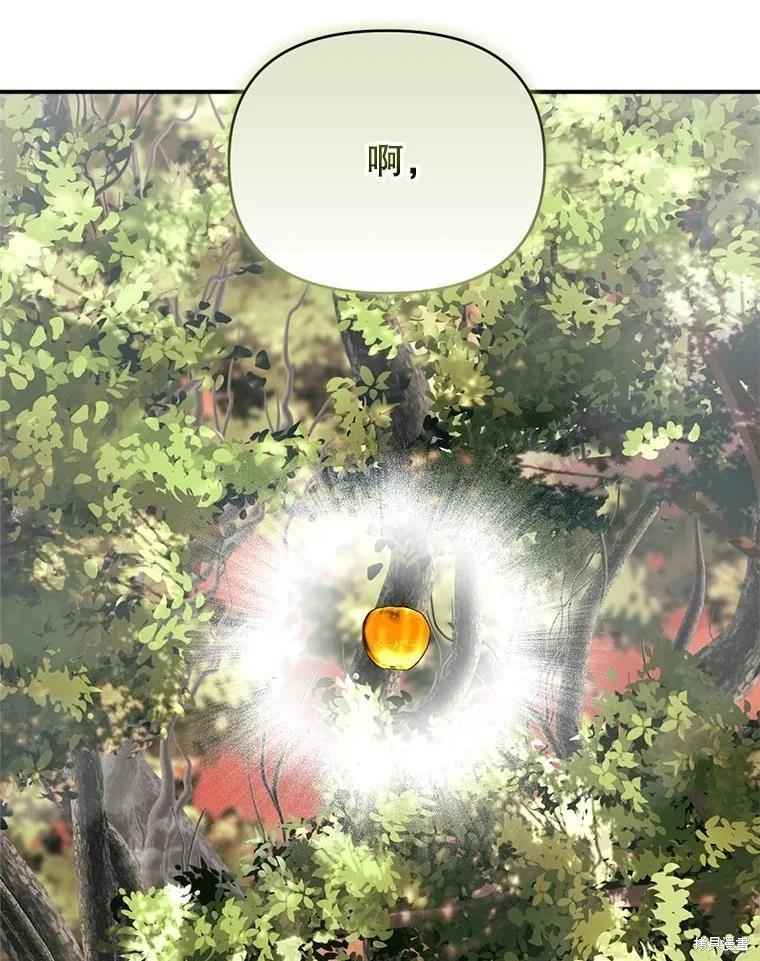 第 110 页