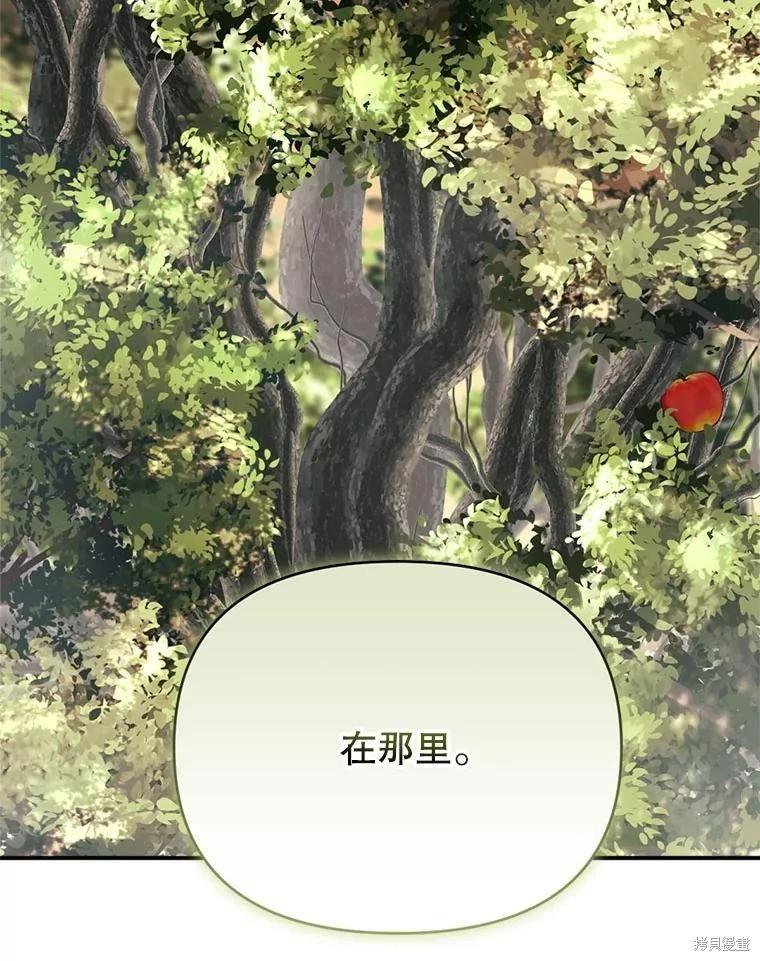 第 111 页