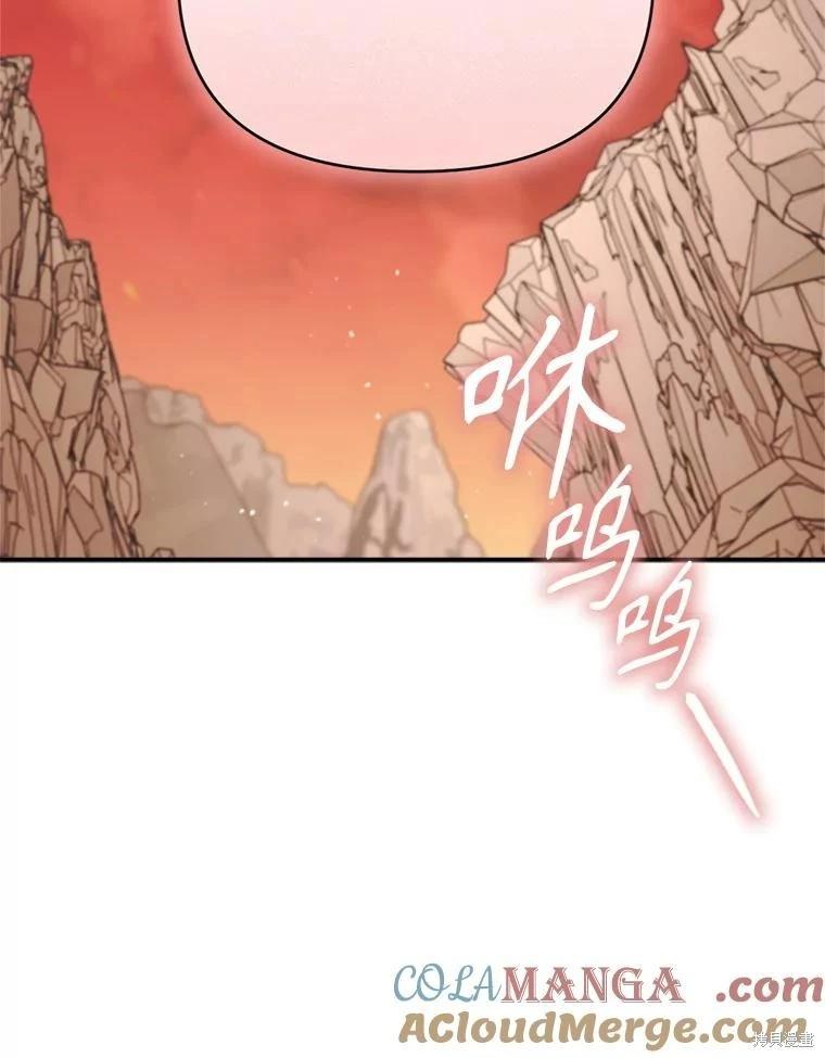 第 121 页