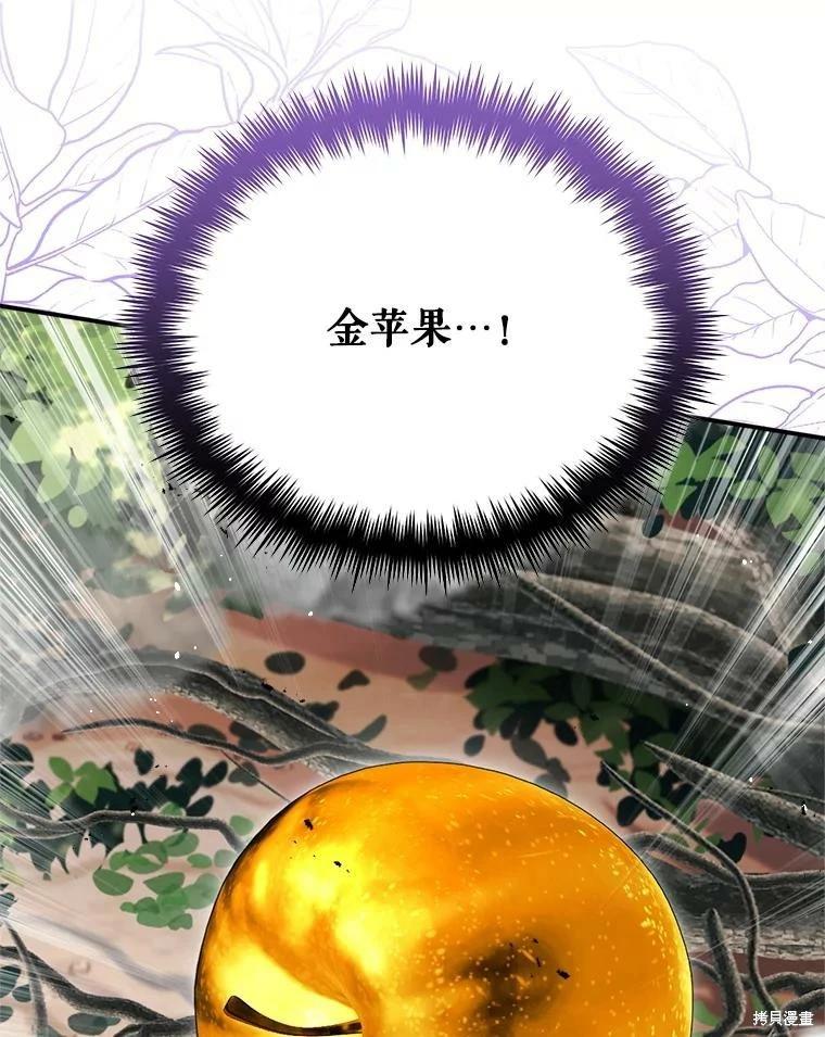 第 107 页