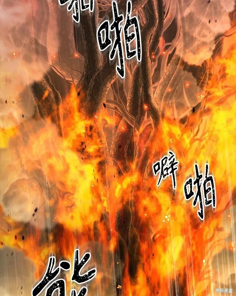 第 96 页