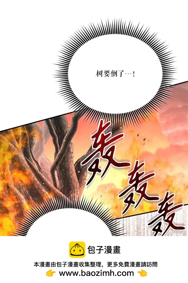 第 99 页