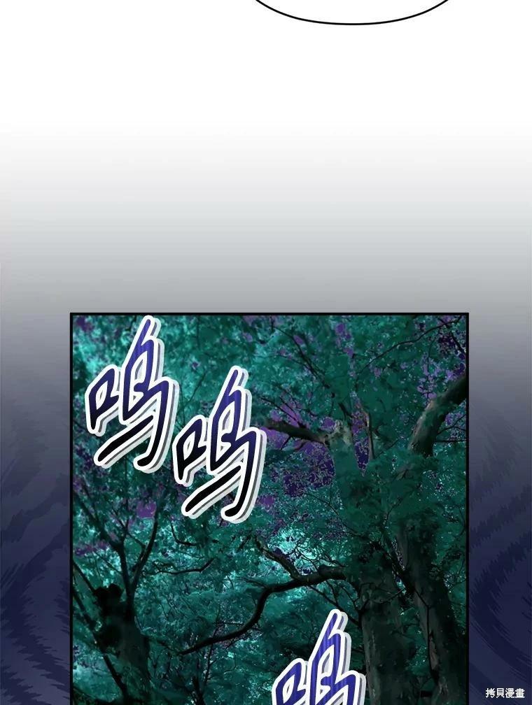 第 111 页