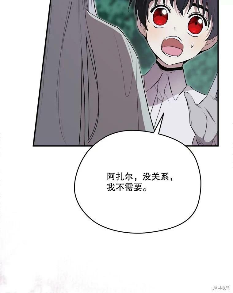 第 116 页