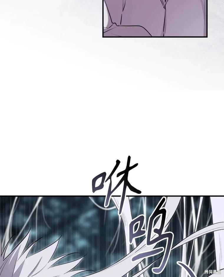 第 111 页