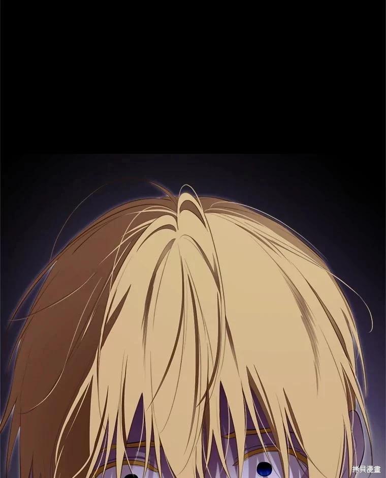 第 111 页