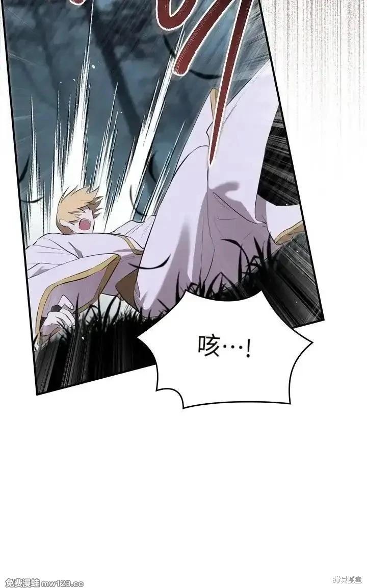 第 110 页
