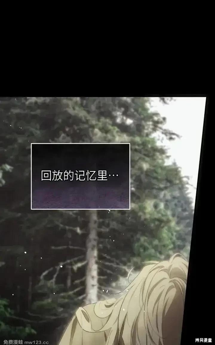 第 113 页