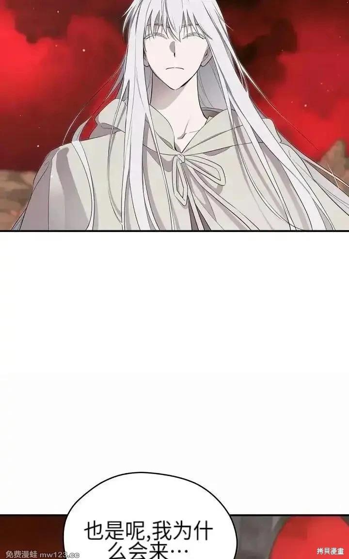 第 106 页