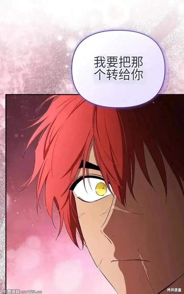 第 116 页