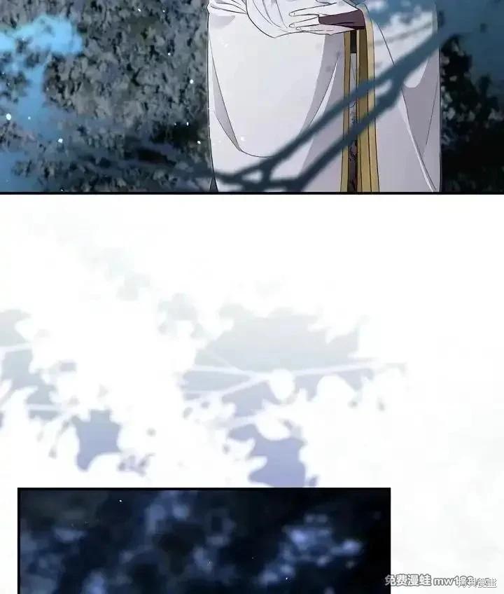 第 96 页