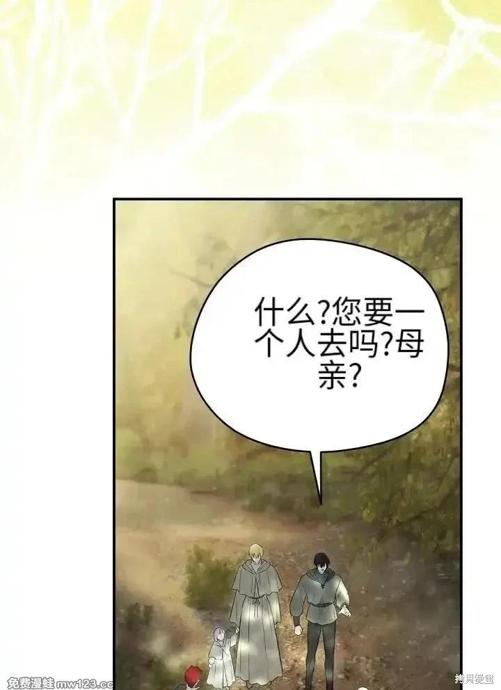 第 117 页