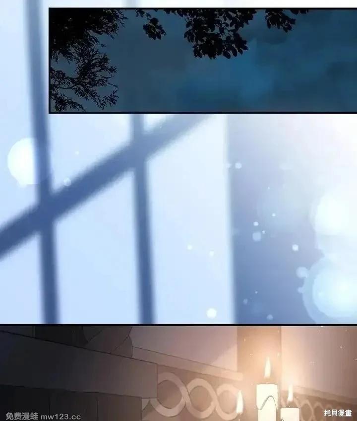 第 111 页