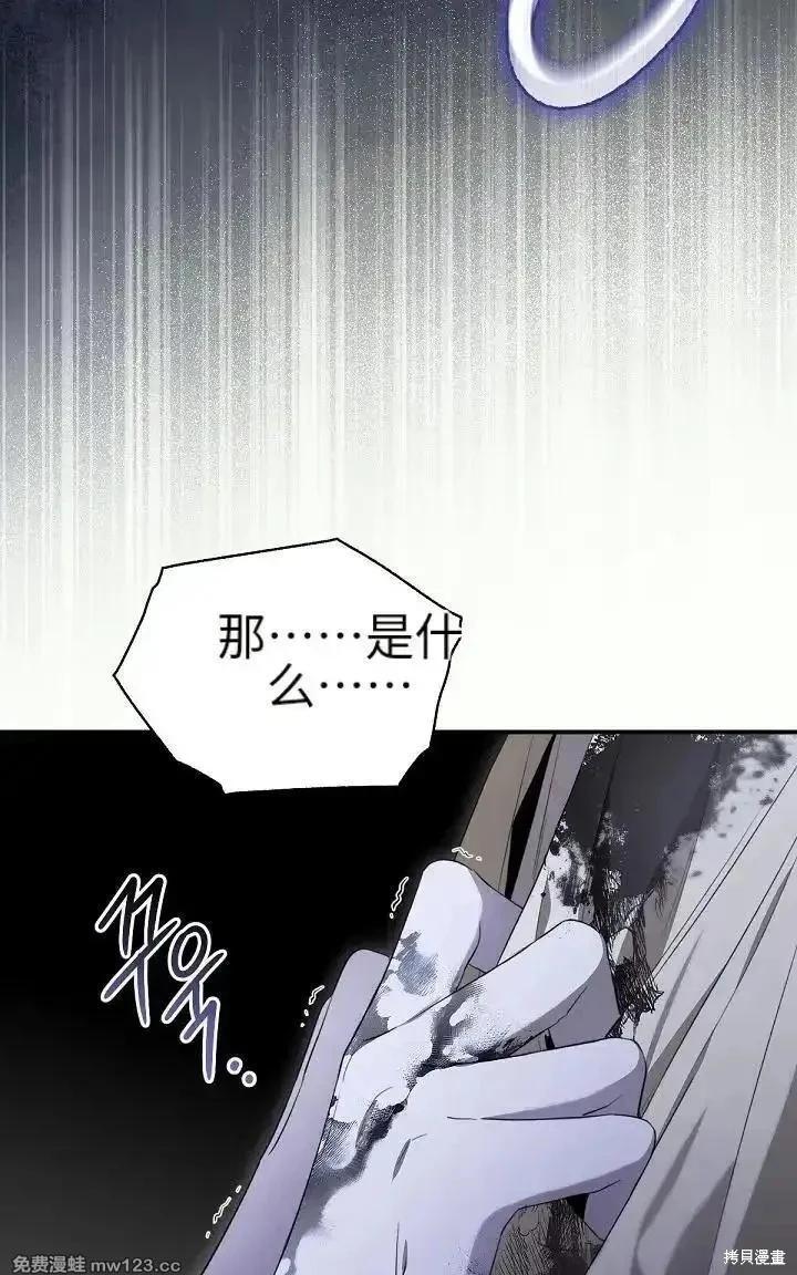 第 106 页