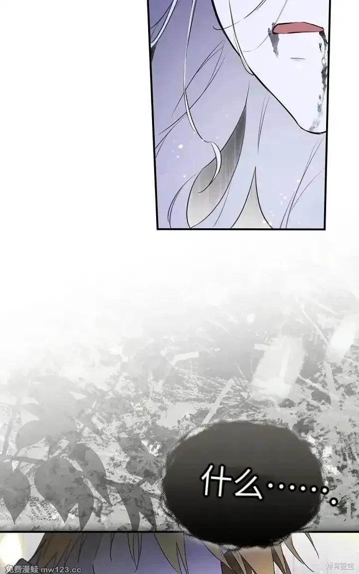 第 113 页