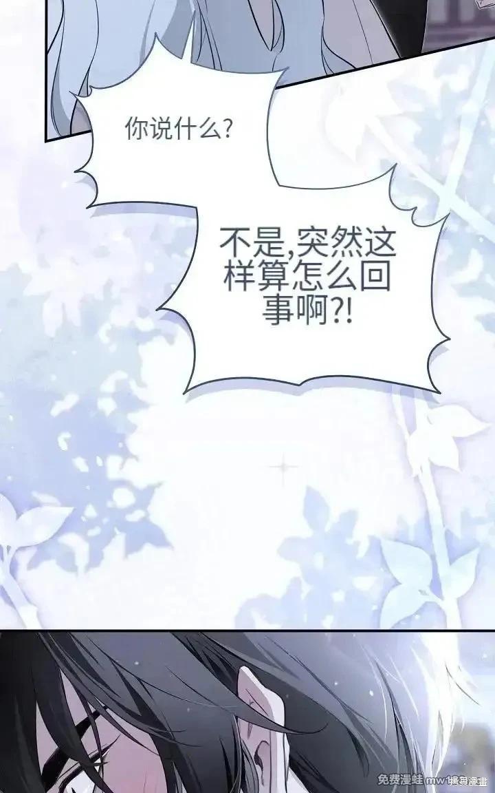 第 111 页