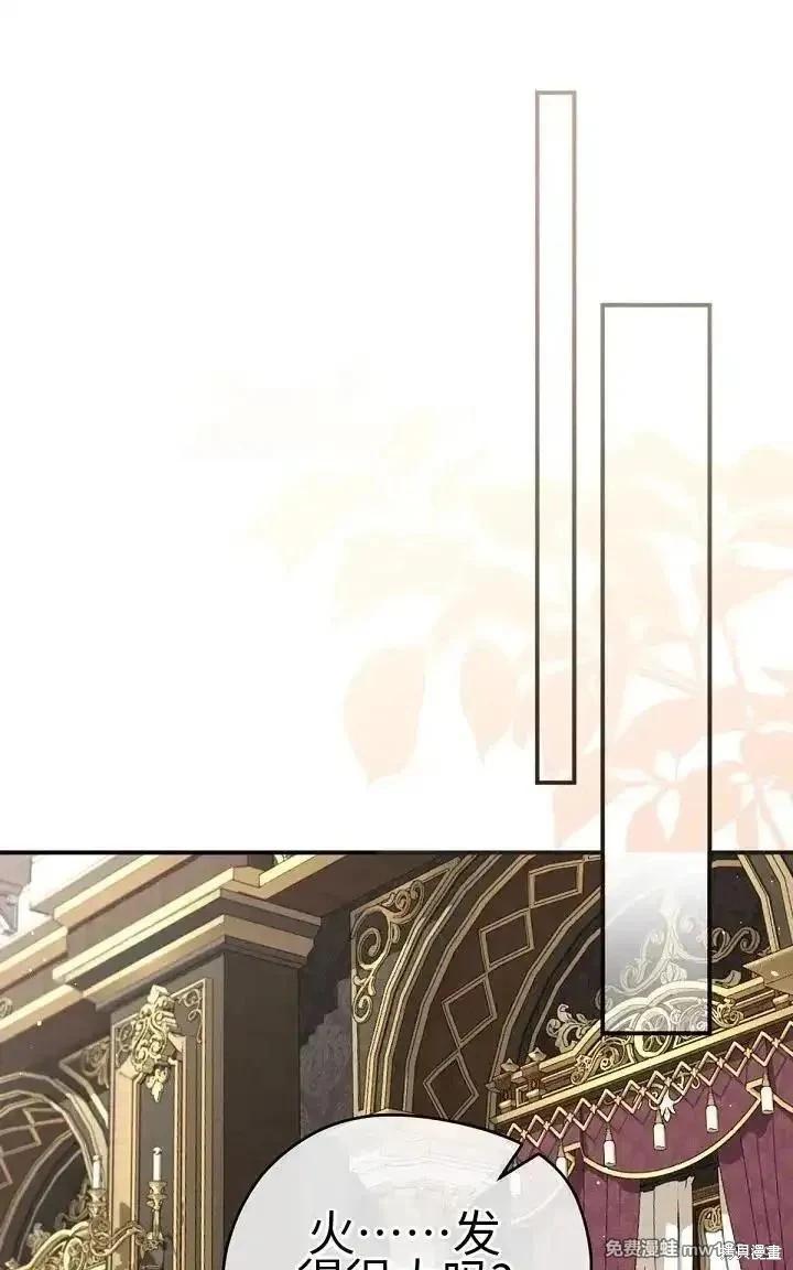 第 97 页