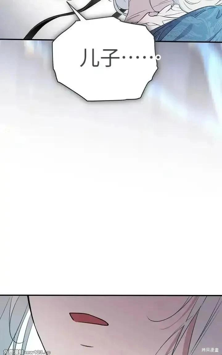第 101 页
