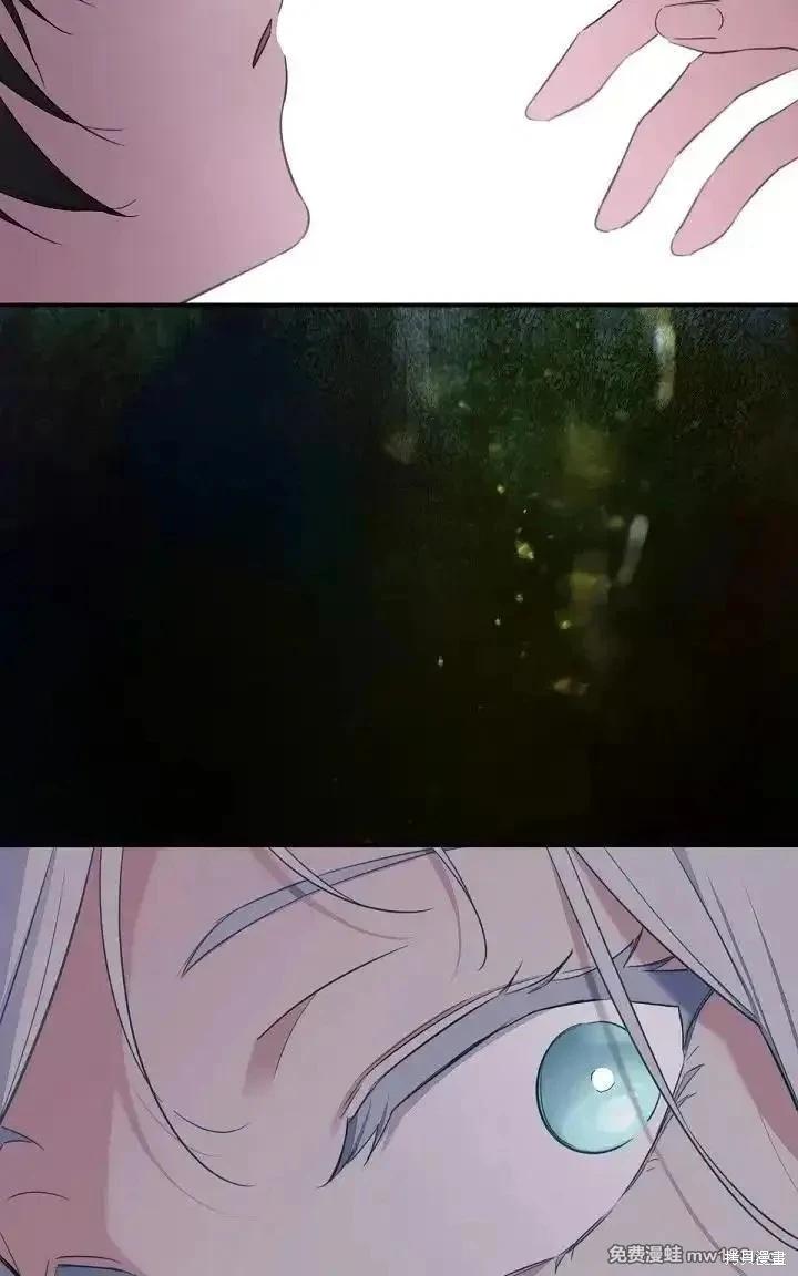第 113 页