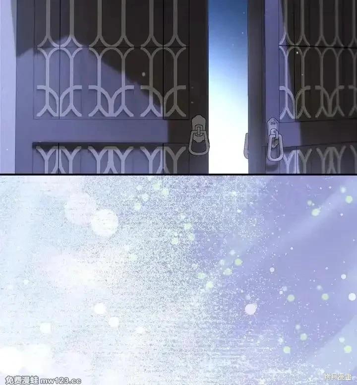 第 117 页