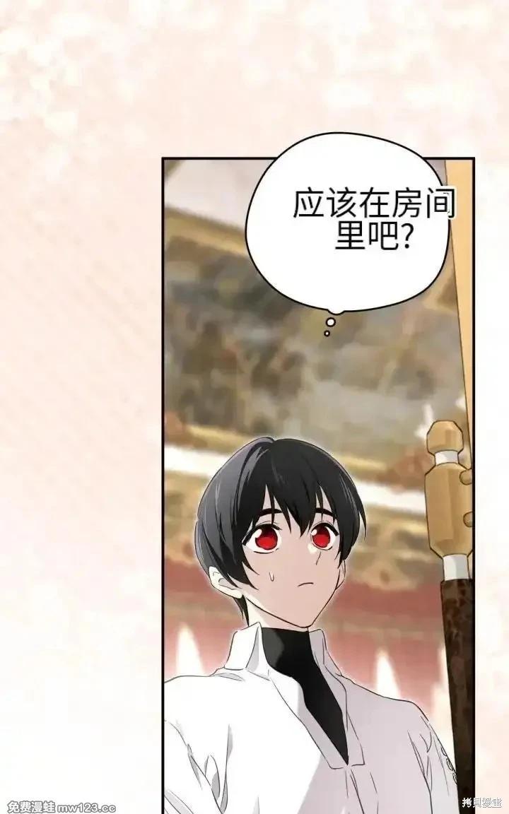 第 116 页
