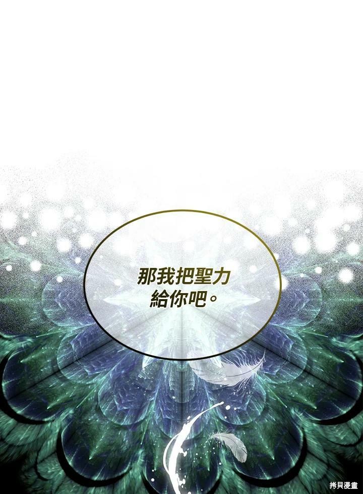 第 111 页