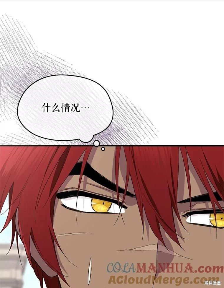 第 117 页