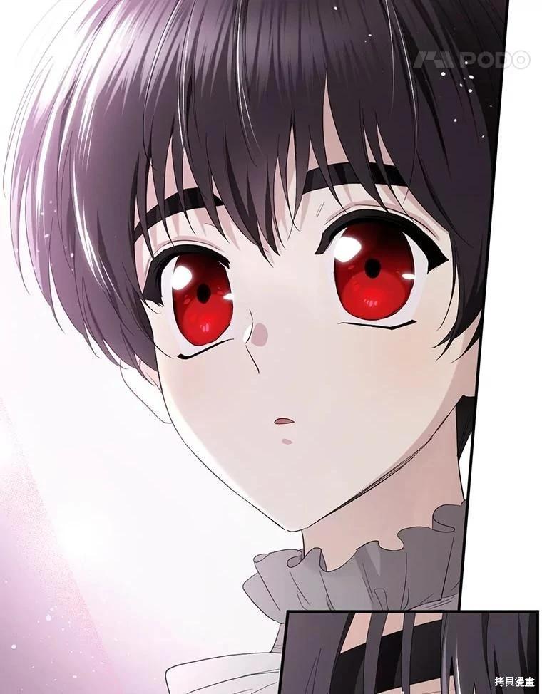 第 106 页