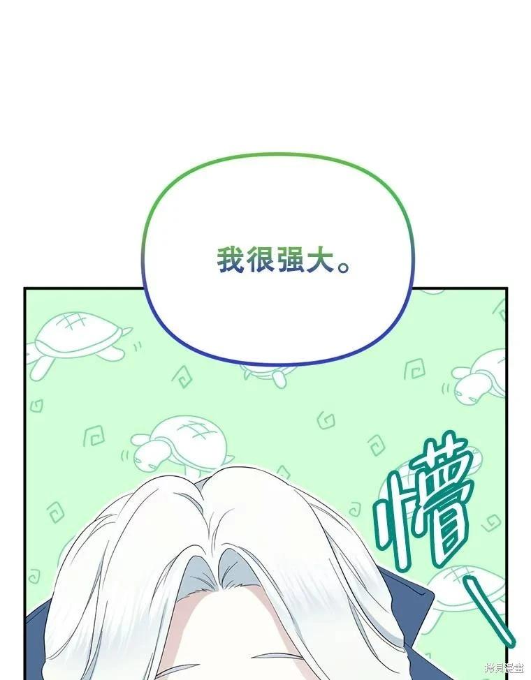 第 111 页