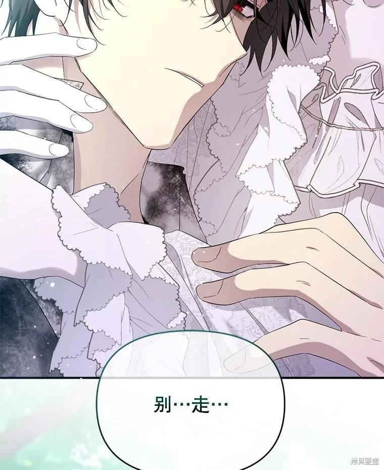 第 110 页