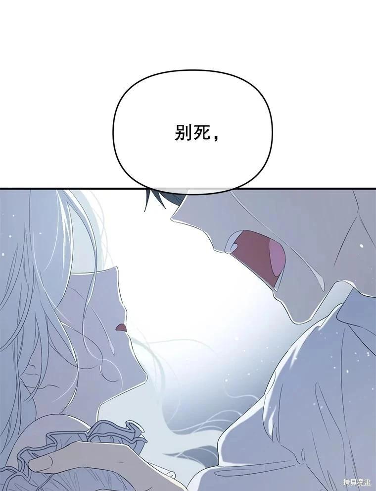 第 118 页