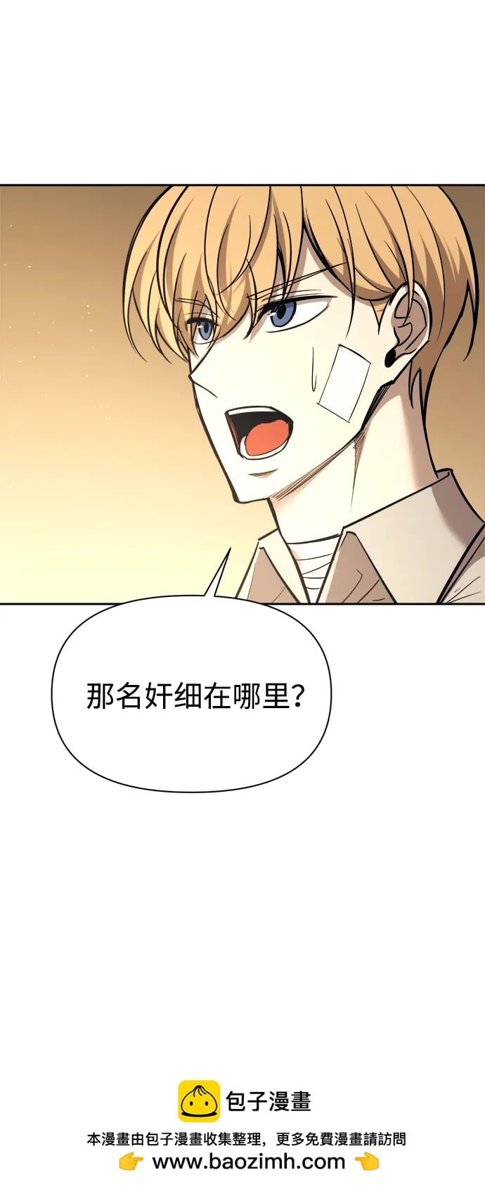 第 100 页