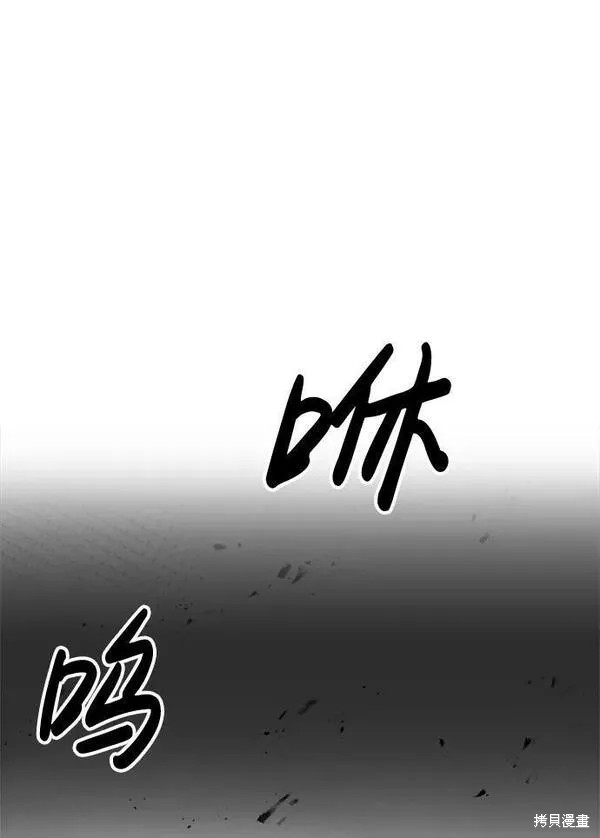 第 107 页