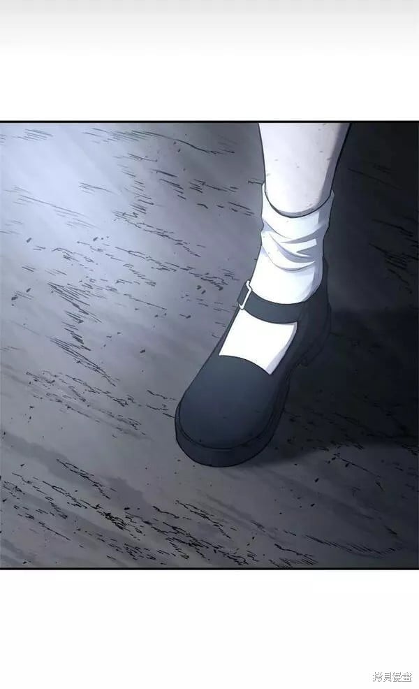 第 106 页