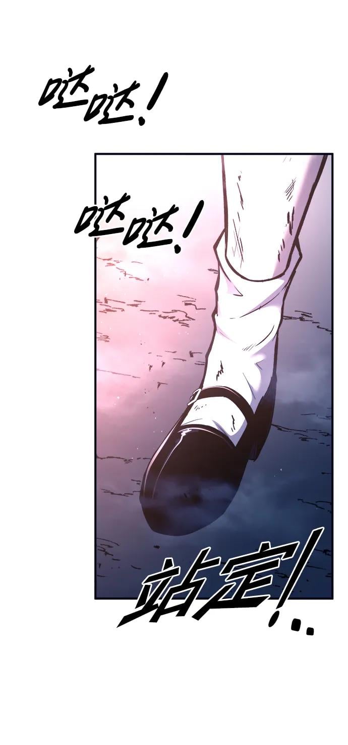 第 113 页