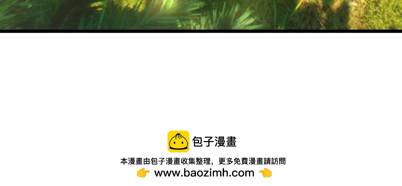 第 278 页
