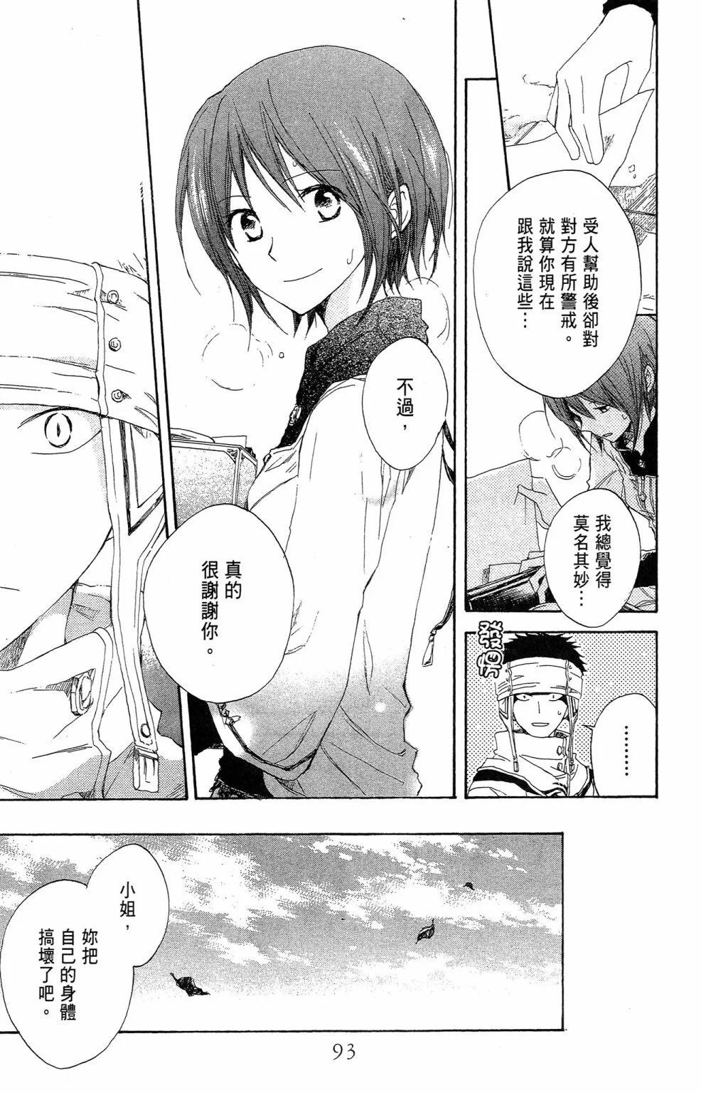 第 95 页
