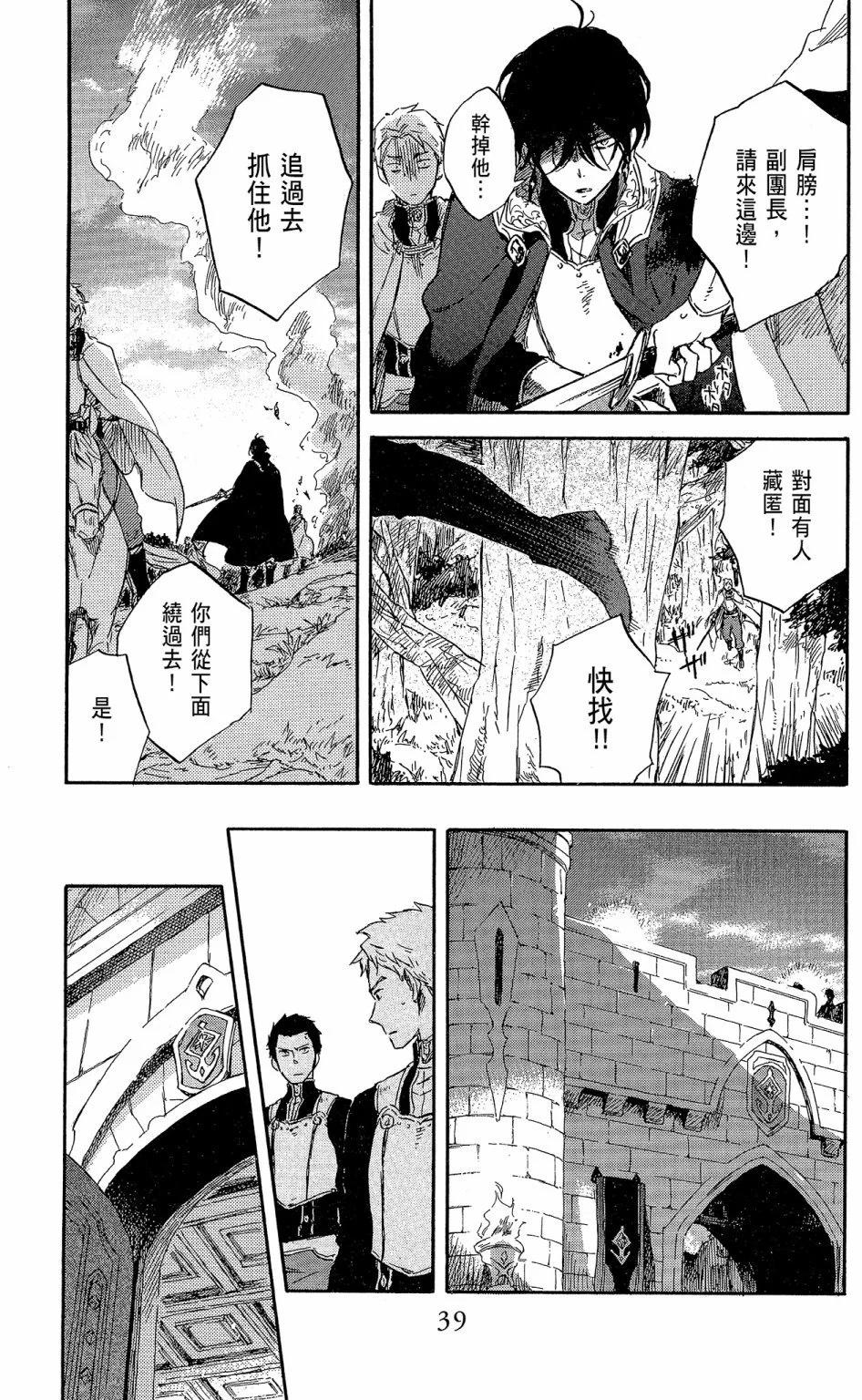 第 41 页