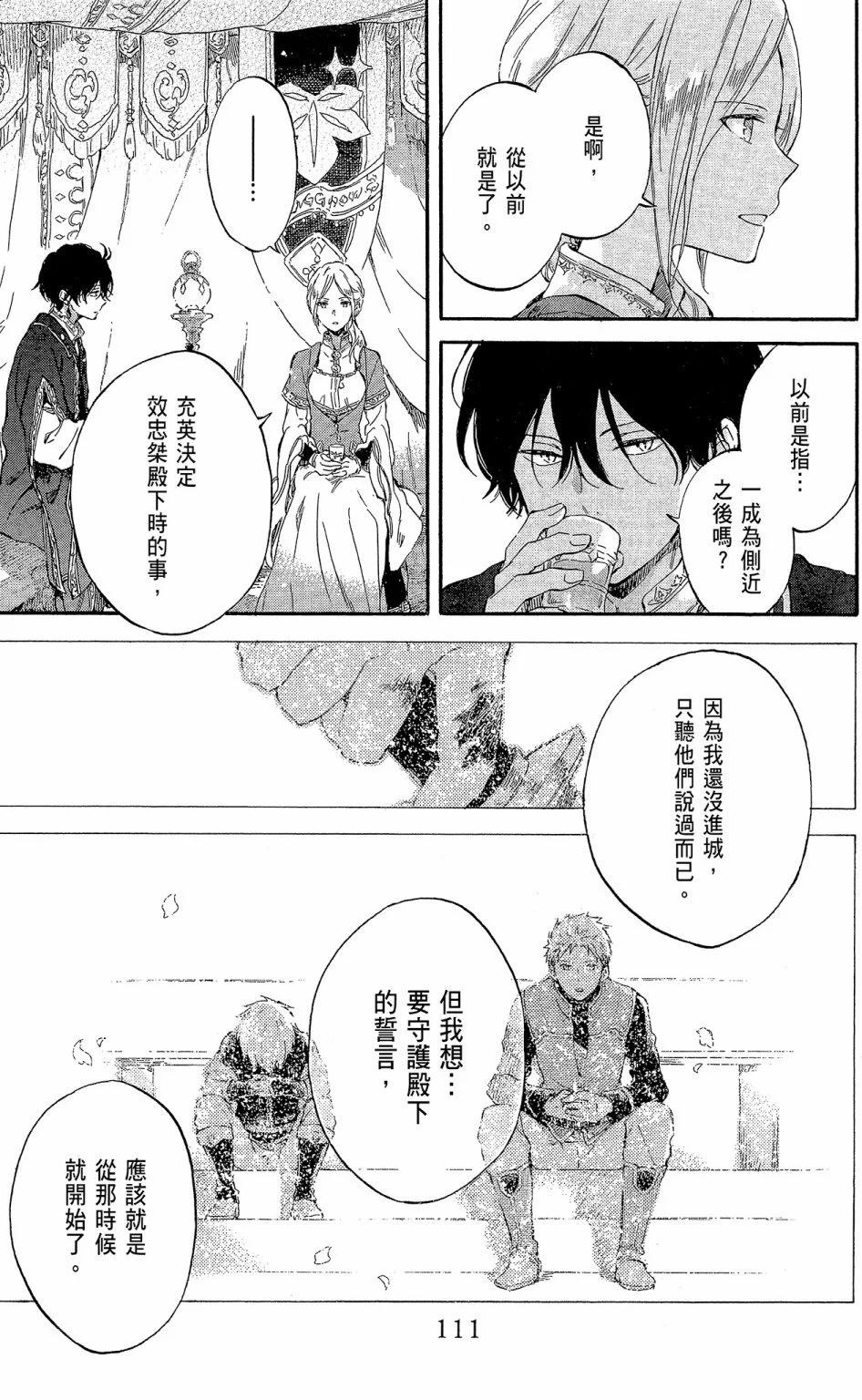 第 111 页