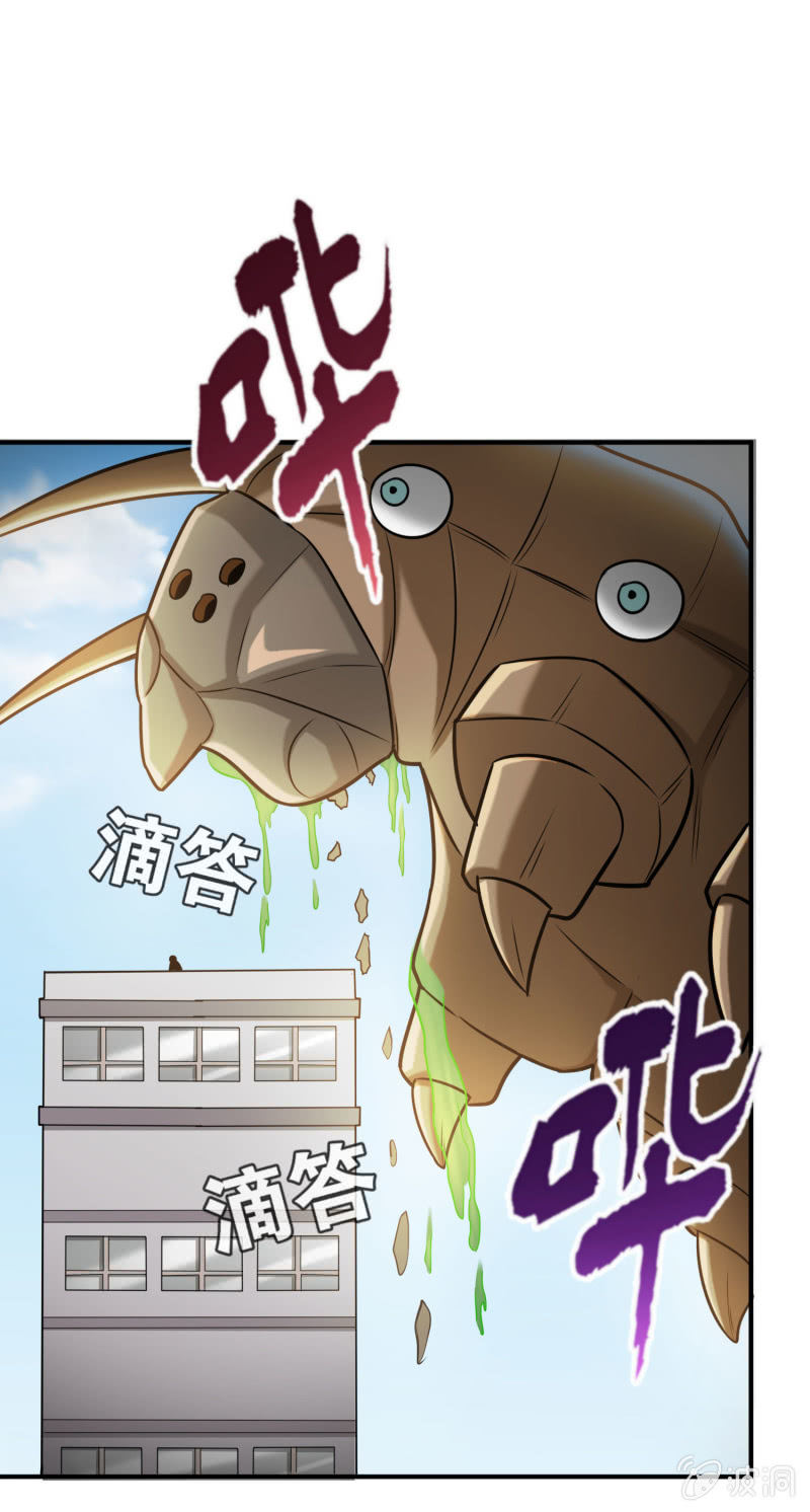 第 41 页