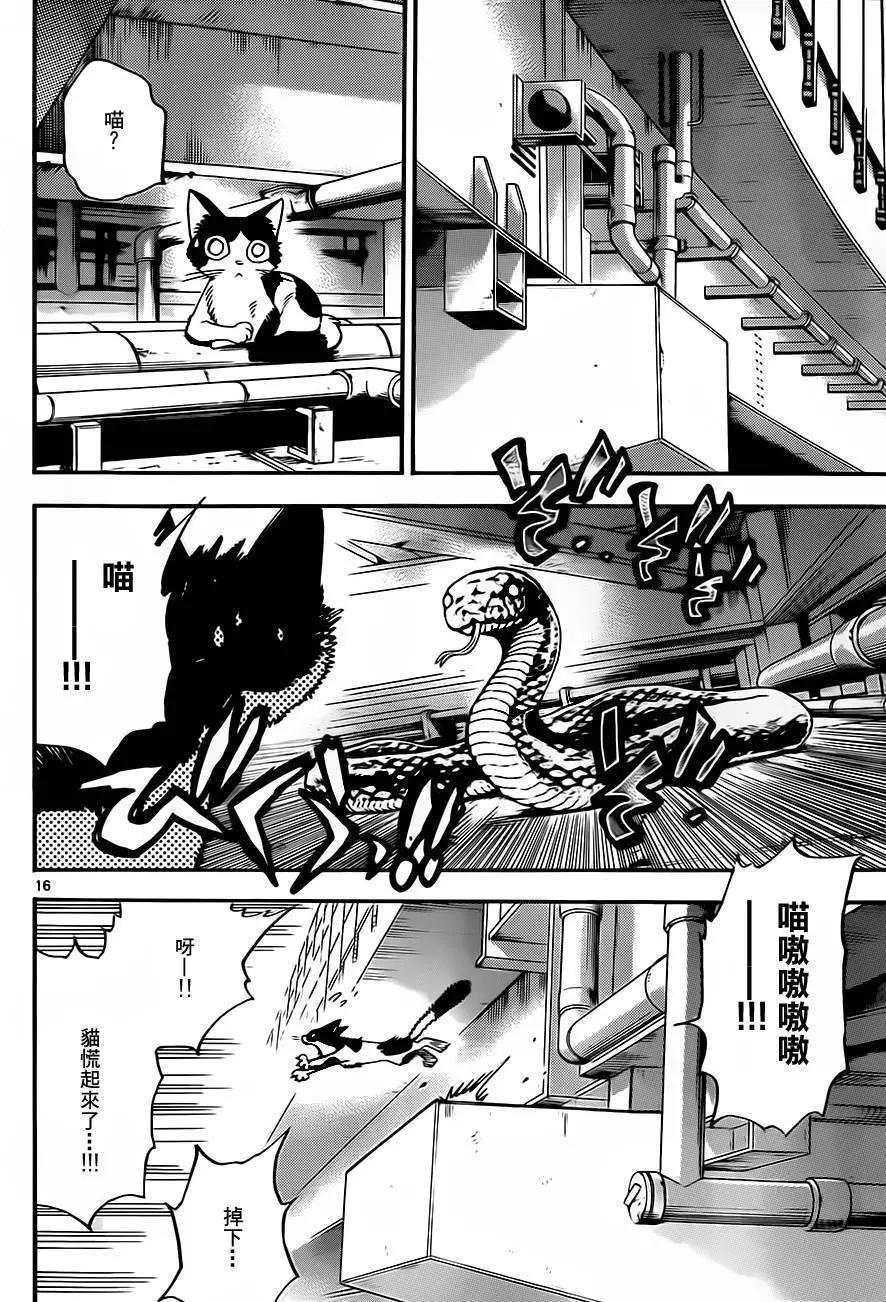 第 16 页
