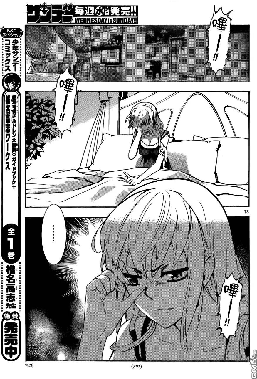 第 13 页