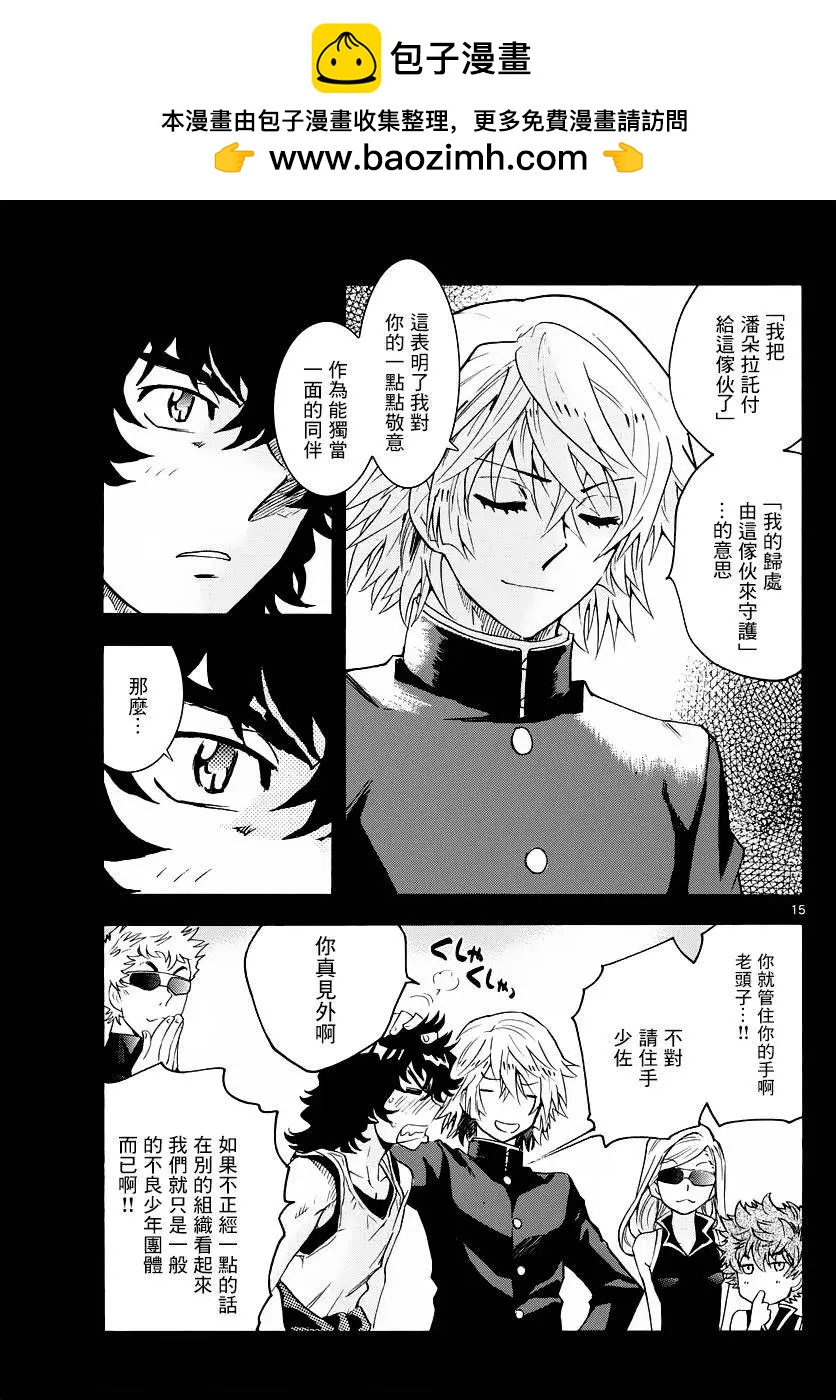 第 15 页