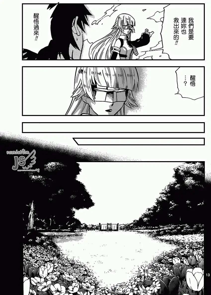 第 13 页