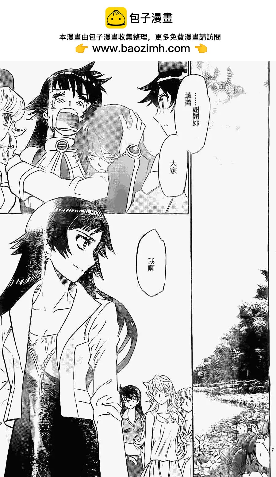 第 7 页