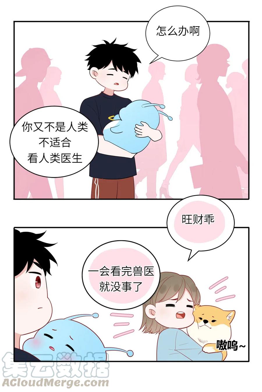 第 46 页