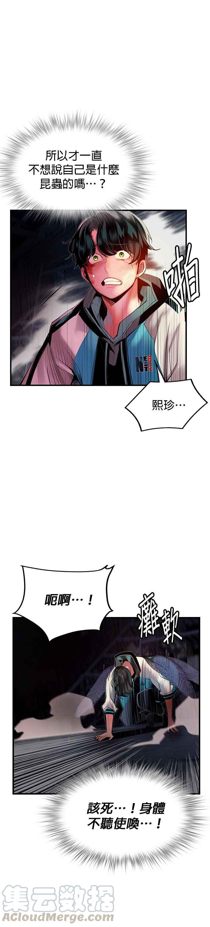 第 43 页