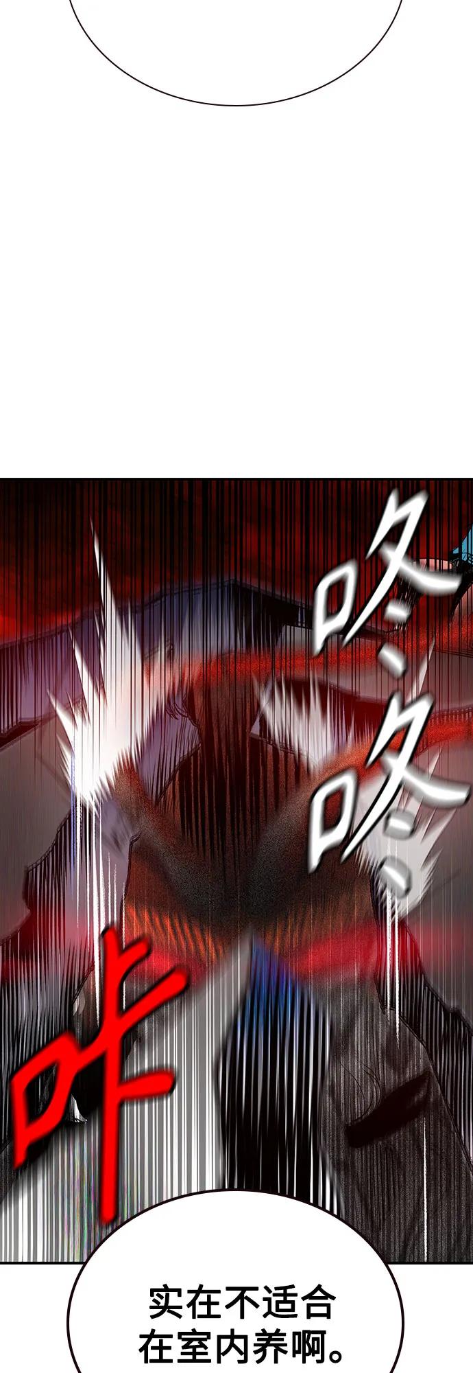 第 86 页