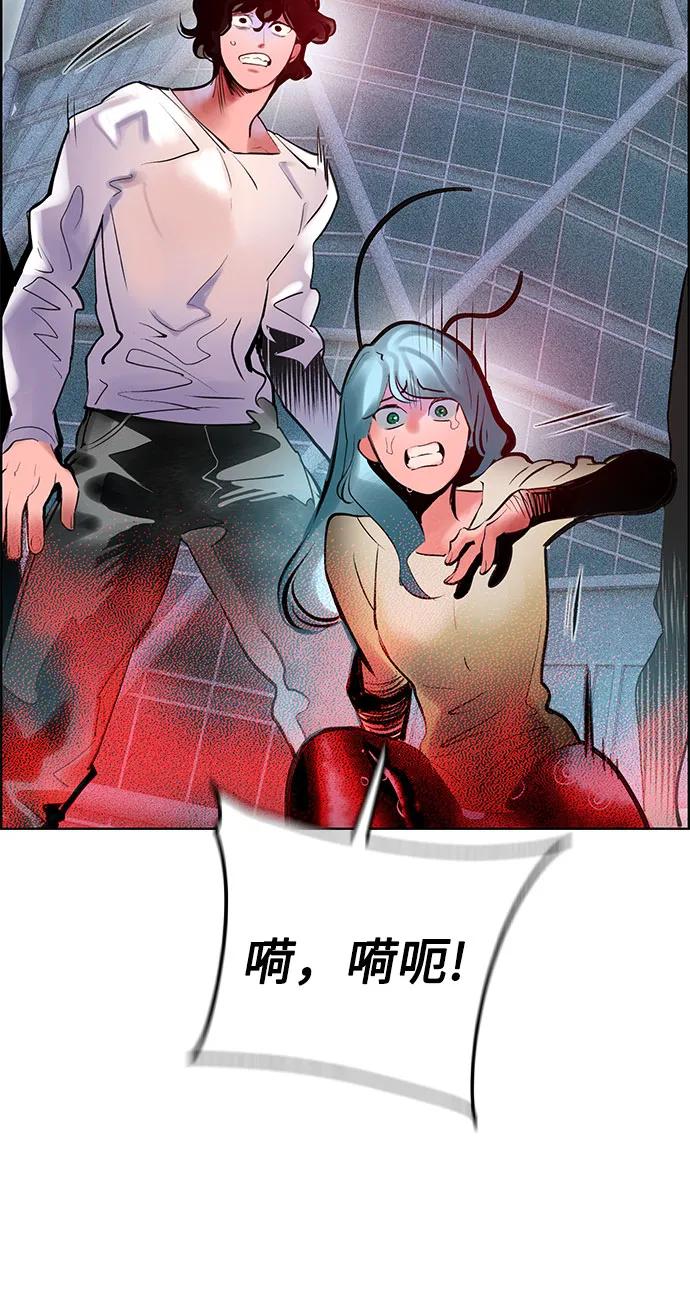 第 46 页