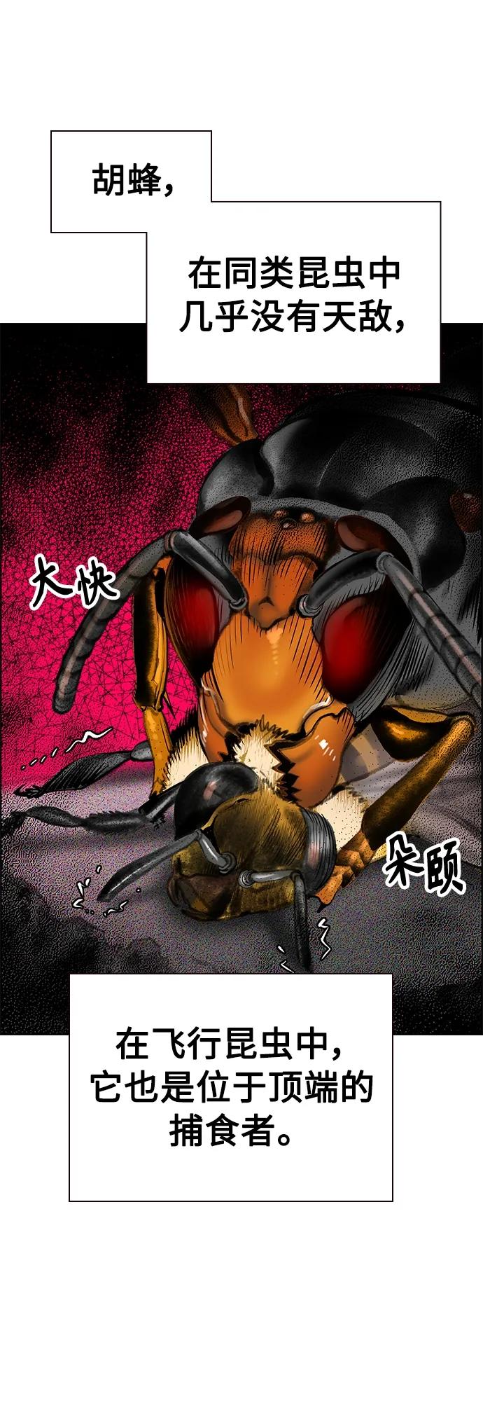 第 108 页